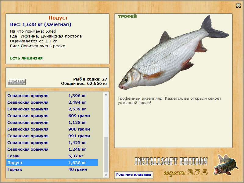 Пелядь рыба. описание, особенности, виды, образ жизни и среда обитания пеляди