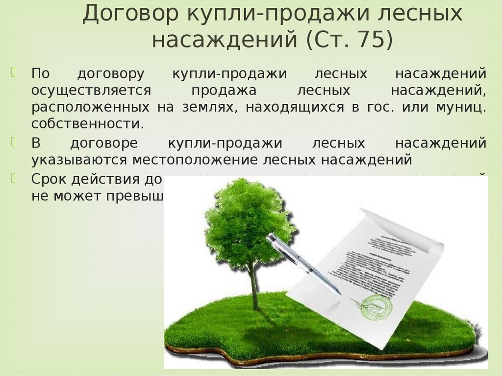 Заявление на заключение договора купли продажи лесных насаждений для собственных нужд образец