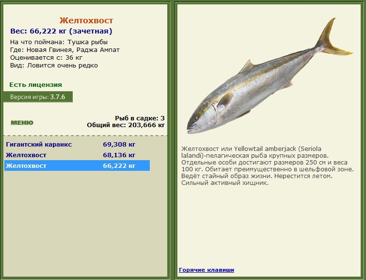 Желтохвостая лакедра — что за рыба, фото, описание, где водится, чем полезна, как приготовить