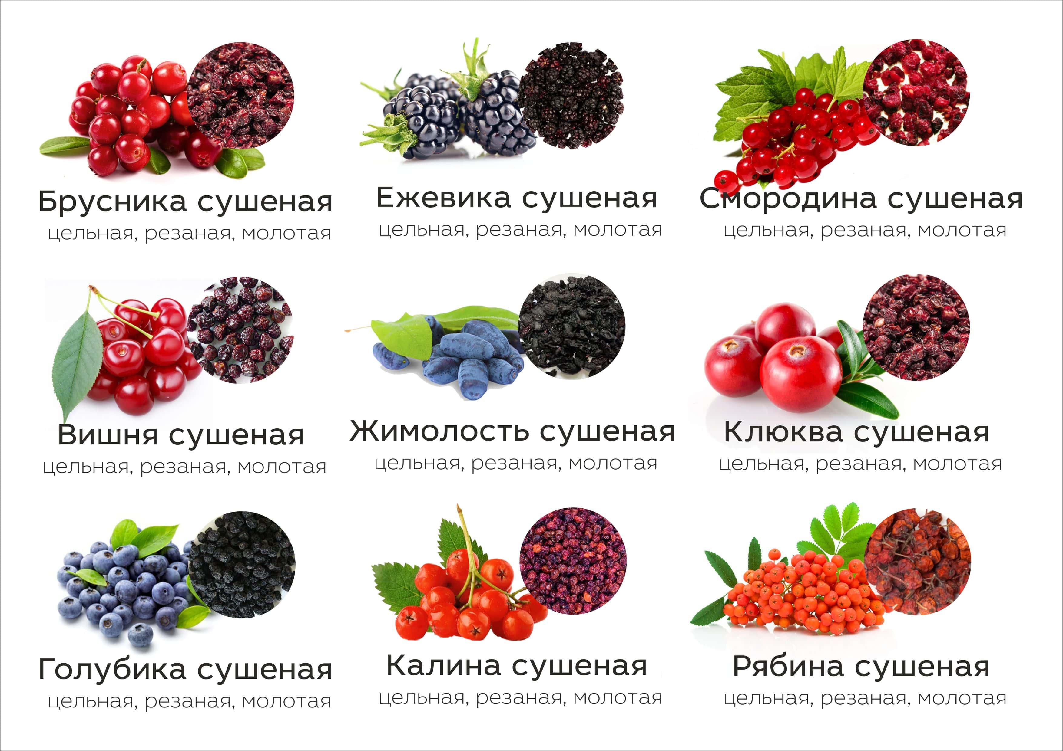 Читать горькие ягодки полностью. Ягоды названия. Название разных ягод. Ягоды перечень названий. Садовые ягоды названия.