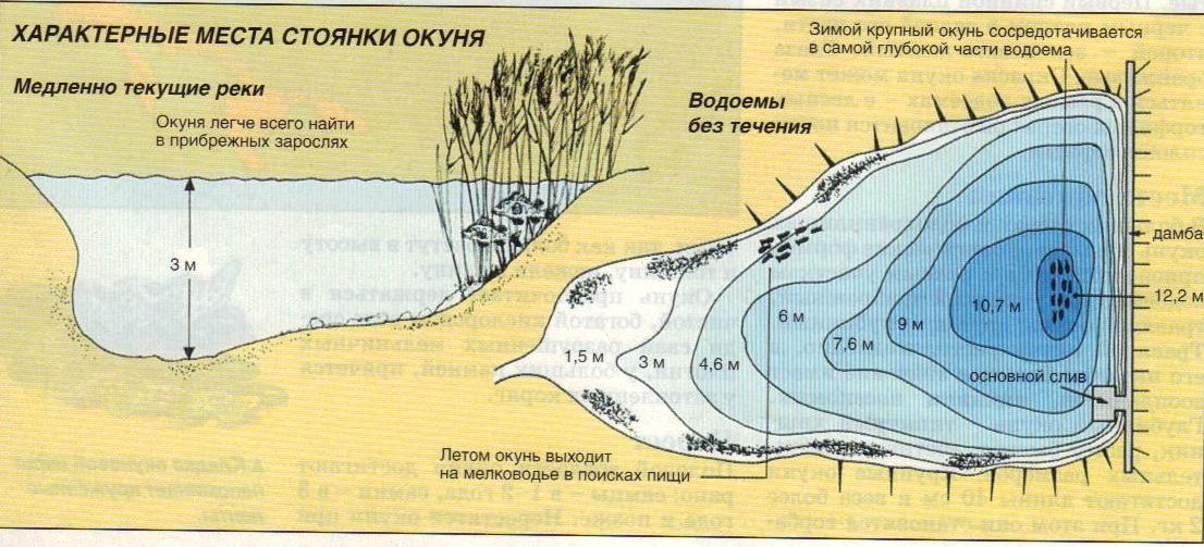 Как ловить рыбу? рыбалка на озере, реке, море. как ловить рыбу на спиннинг? :: syl.ru