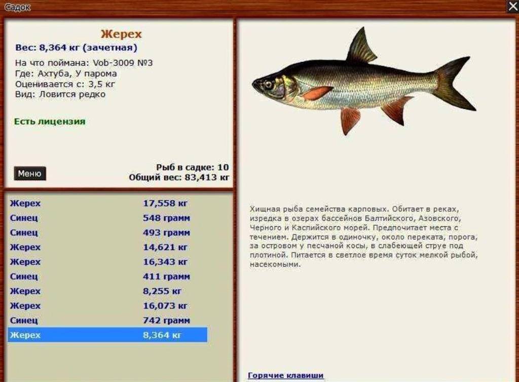Буффало (рыба). речная рыба буффало: фото и описание. где водится рыба буффало?