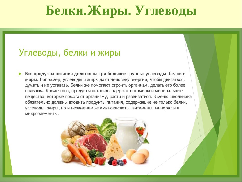 Белки, жиры, углеводы - источники энергии для организма человека