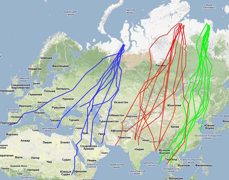 Карта миграции журавлей из россии