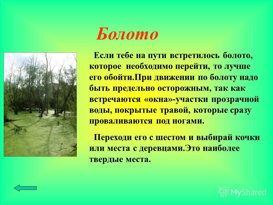 Как пишется болотная. Опасности в лесу болото.