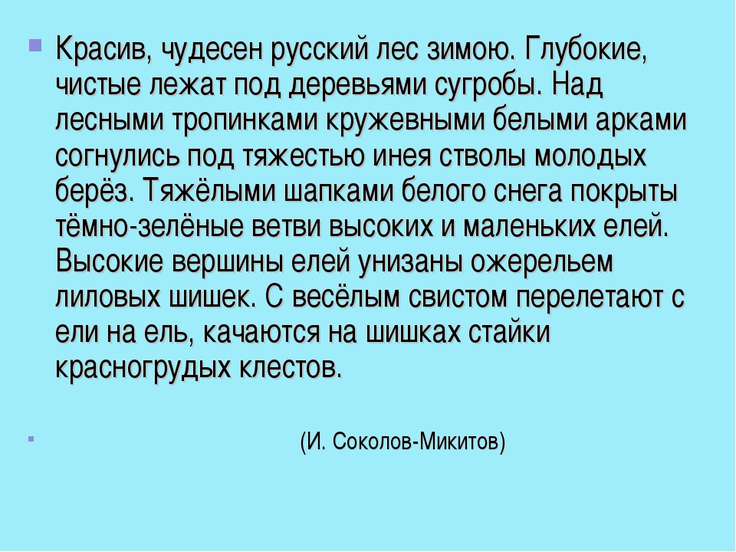 Как выглядят следы крысы, мыши и других животных на снегу
