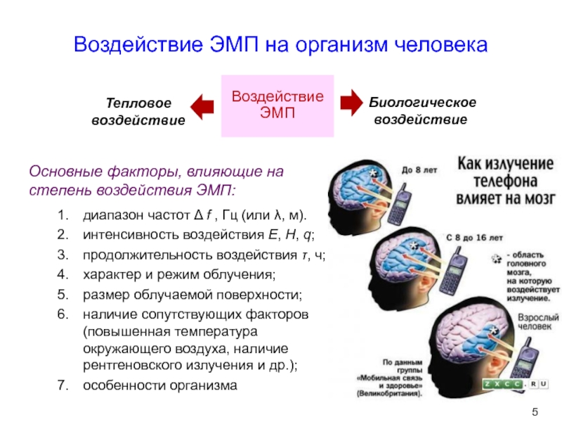 Особенности воздействия электромагнитных и звуковых волн на организм человека презентация