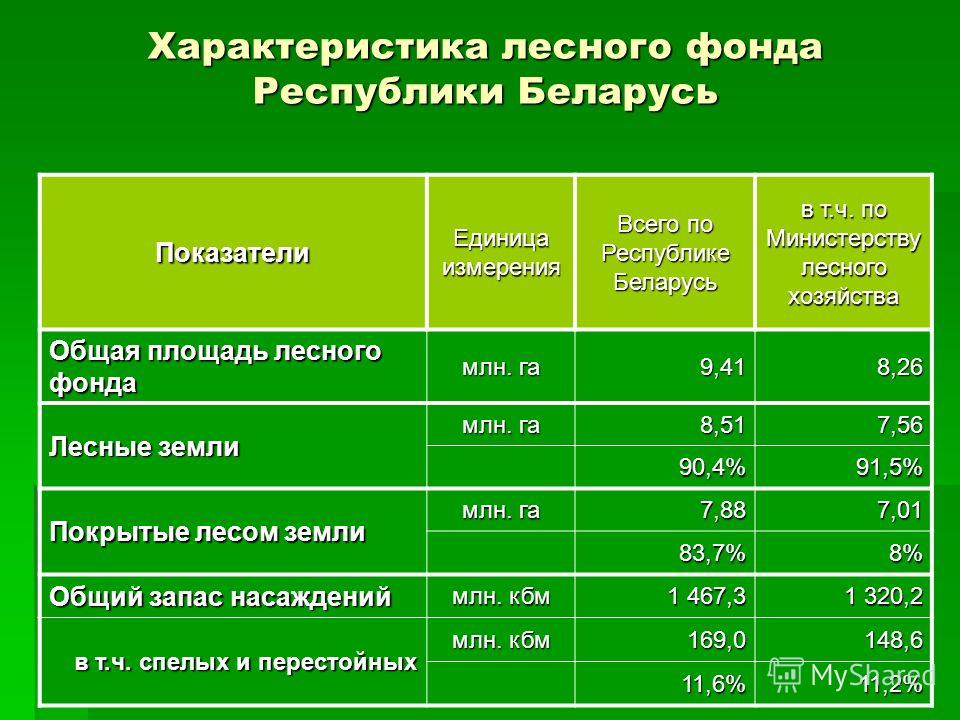 Общая характеристика леса