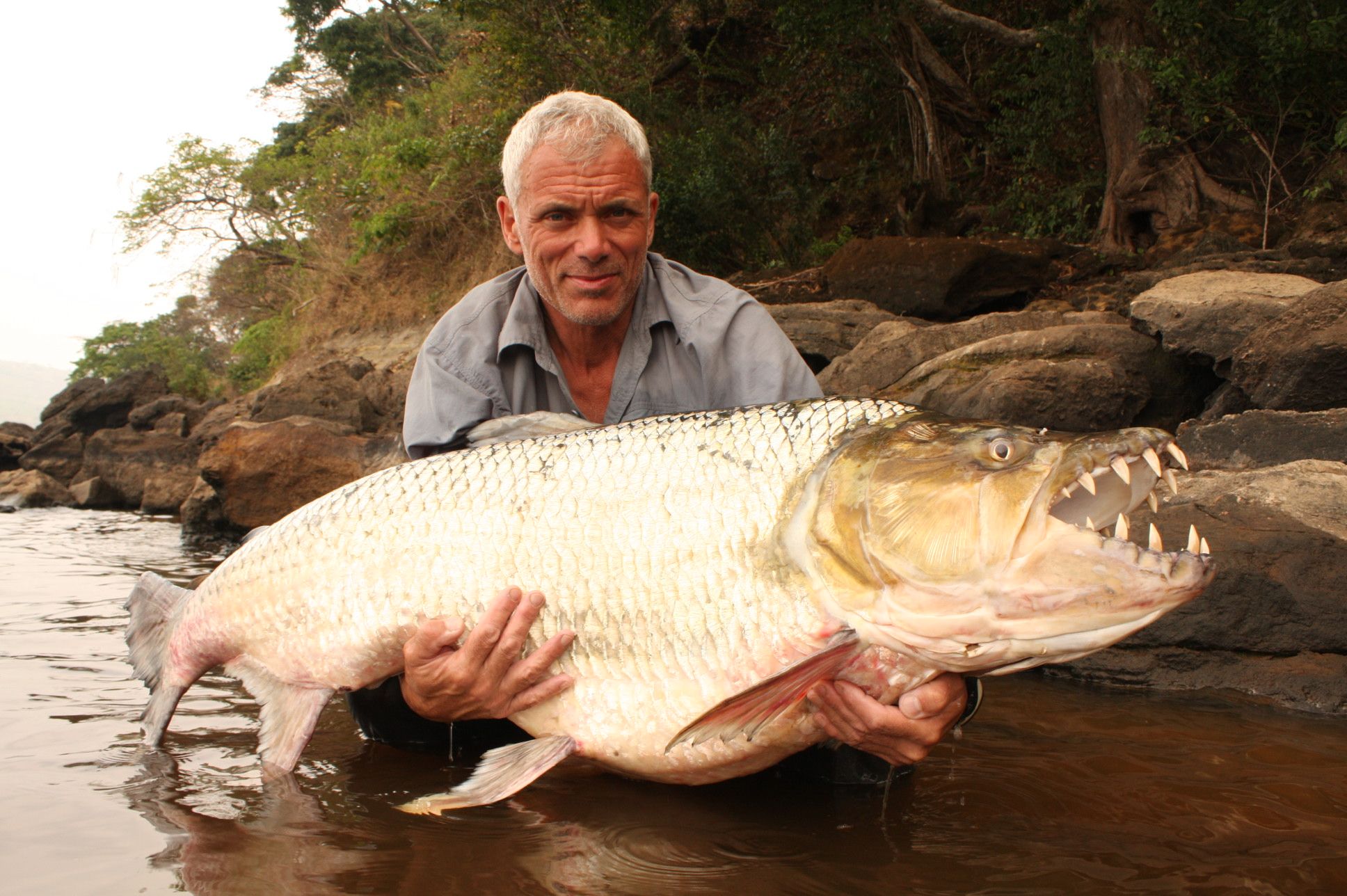 Топ-10 самых больших в мире рыб | smapse