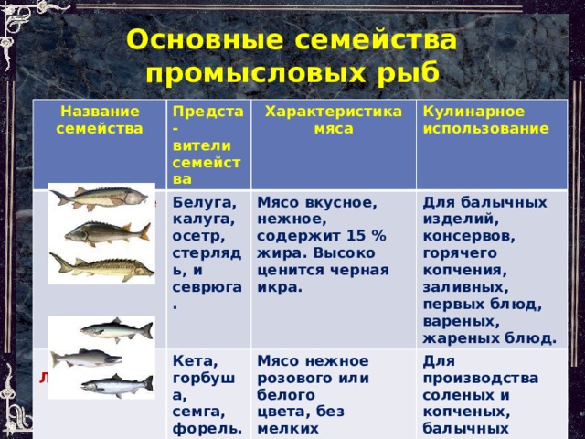 Треска рыба. описание, особенности, виды, образ жизни и среда обитания трески