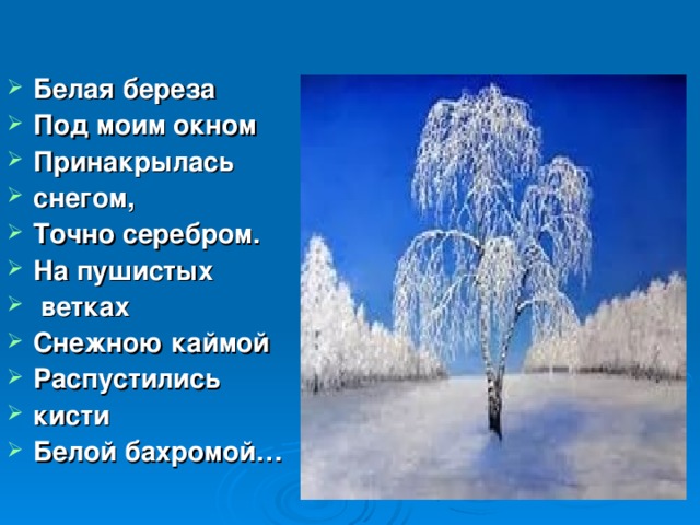 Каймой ветках распустились белой кисти. Береза белая береза под моим окном. Белая береза Принакрылась снегом. Белая береза под моим ок. Белая береза ПОБ моим окно.