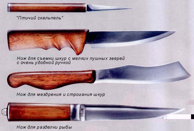 Гид по выбору универсального ножа и “кухонной тройки”