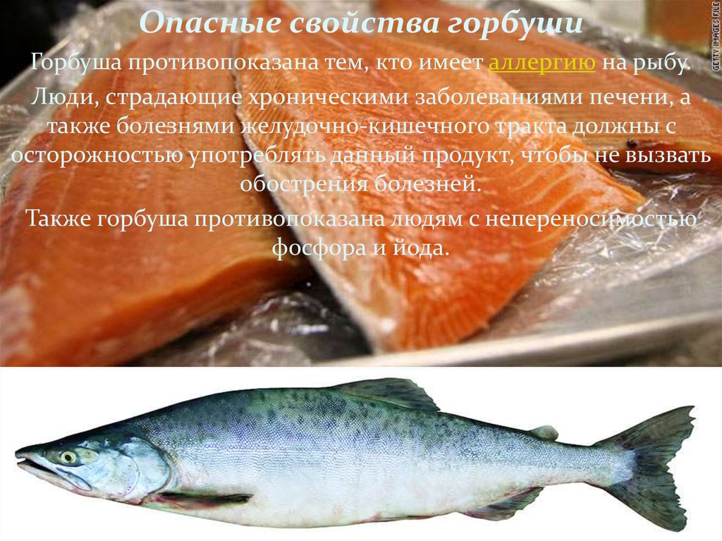 Шашлык из рыбы: рецепты вкусного маринада