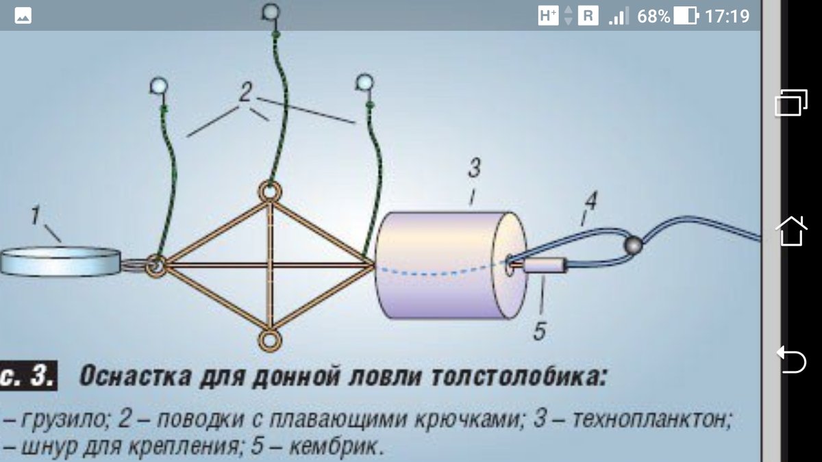 Снасть на толстолобика фото