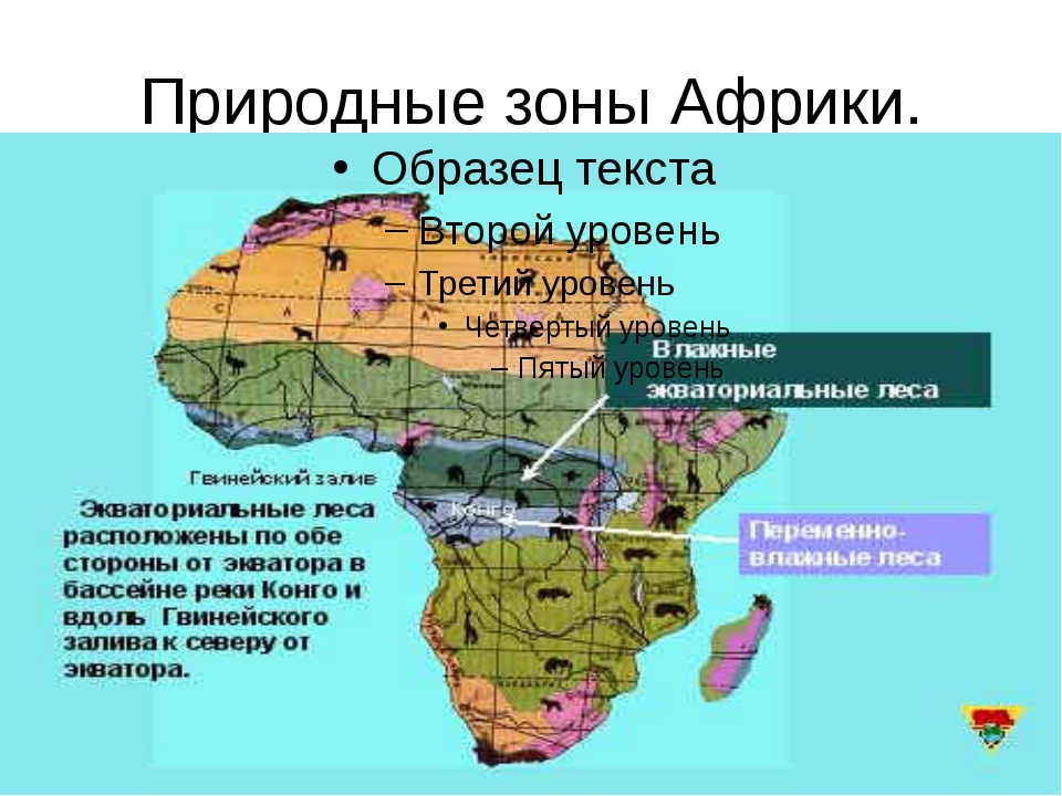 Какова роль африки в мире. Природные зоны Африки карта география 7. Природные зоны Африки 7 атлас география. Природные пояса Африки 7 класс. Карта природных зон Африки 7 класс.