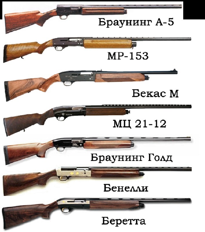 Крупнокалиберные винтовки для охоты: большие пушки для «большой игры»