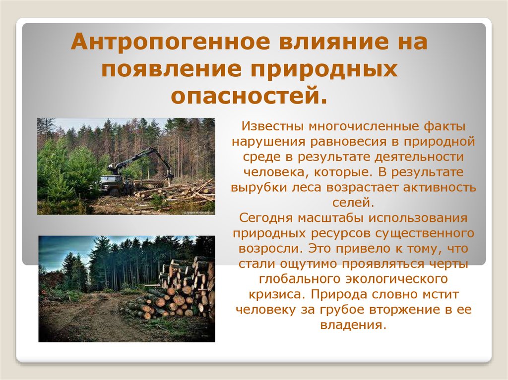 Антропогенные воздействия на лес