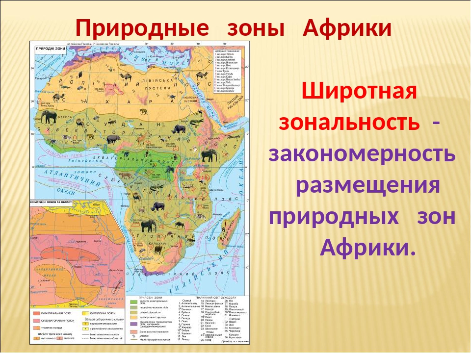Какие природные зоны в восточной африке. Карта природных зон Африки 7 класс. Природные зоны Африки 7 атлас география. Природные зоны Африки 7 класс география карта. Природные зоны центральной Африки.