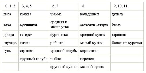 Охота на зайца зимой: обзор разных способов