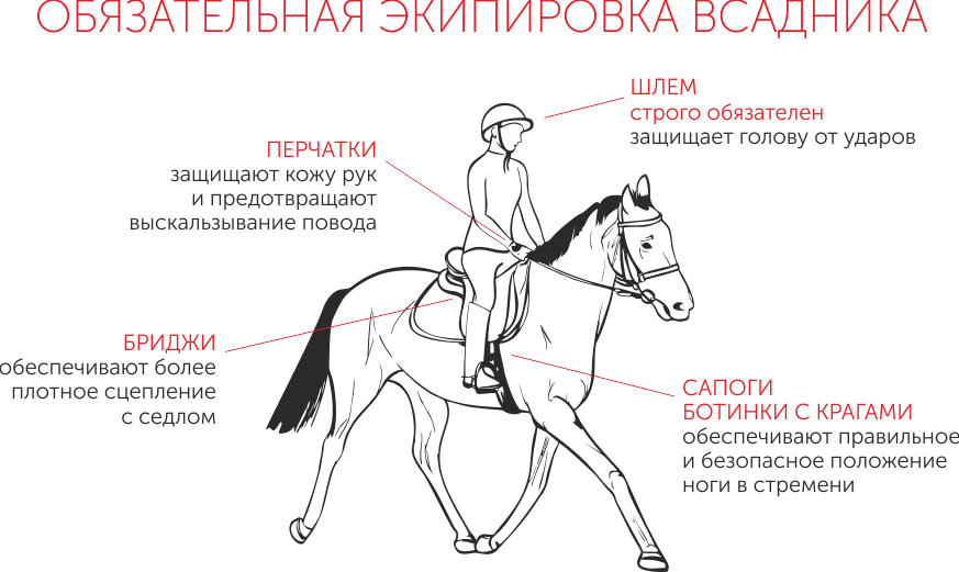 Как правильно гонять. Экипировка всадника конный спорт схема. Правила конного спорта. Правила безопасности всадника в конном спорте. Обязательная экипировка всадника.