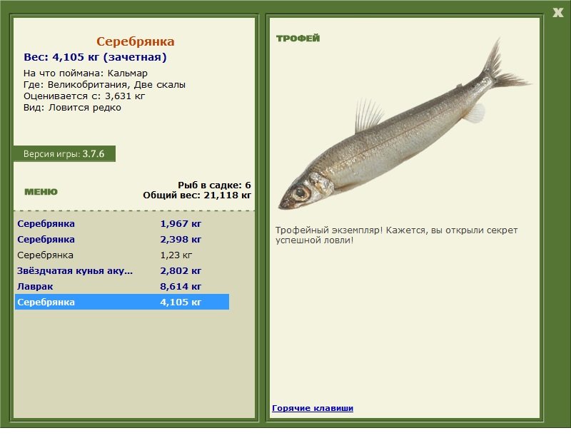 Подробное описание рыбы аргентины, ее внешний вид на фото Рекомендации по приготовлению вкусных блюд из этого продукта
