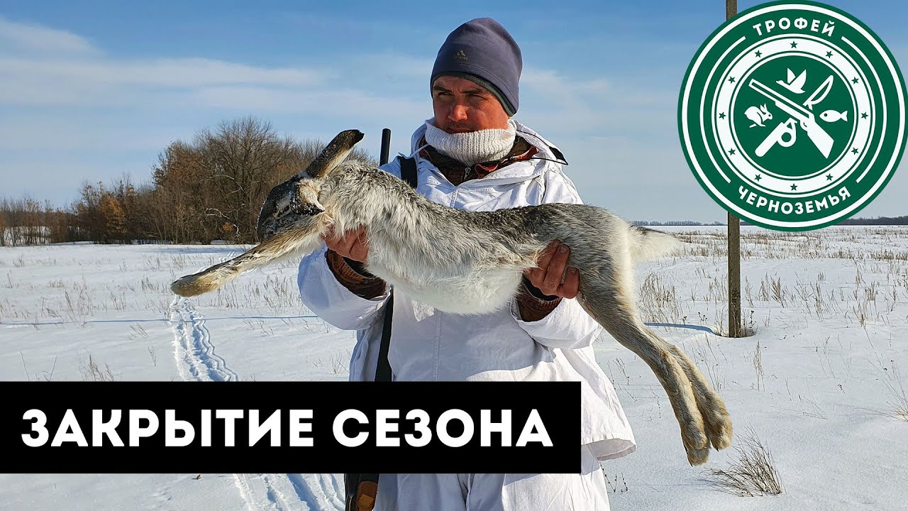 Секреты и способы охоты на зайца русака и беляка