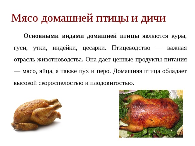 Пищевая мяса птицы. Мясо домашней птицы. Мясо дикой и домашней птицы. Мясо птицы и дичи классификация.