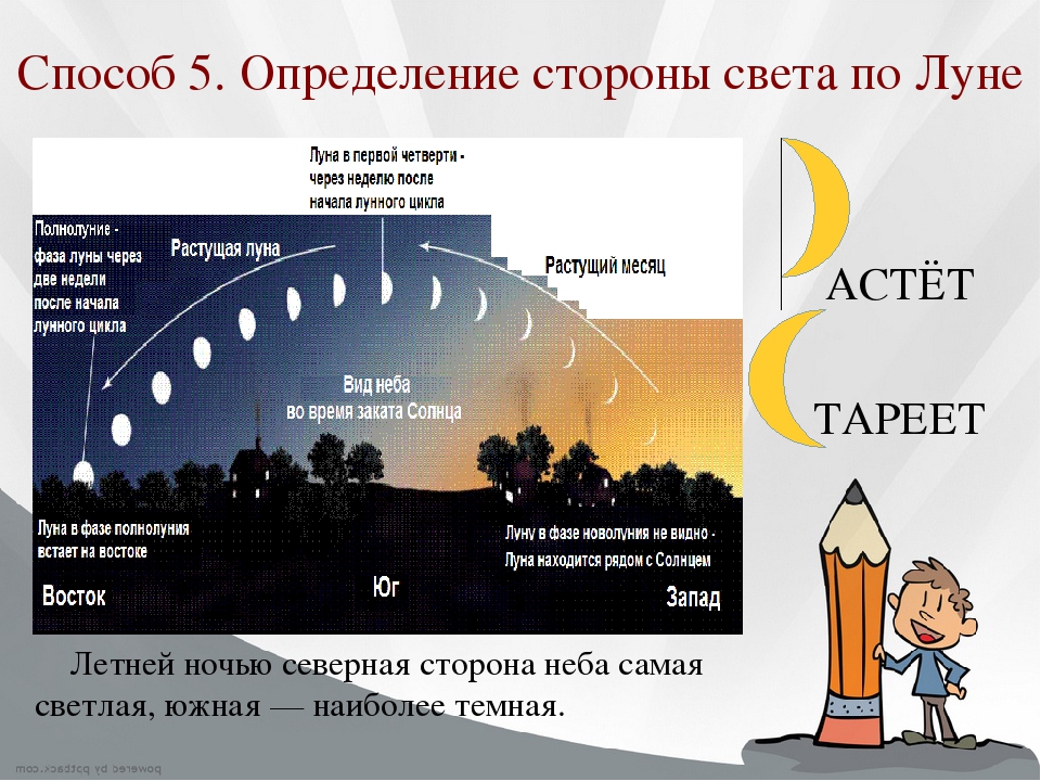 Карта солнечного света по часам