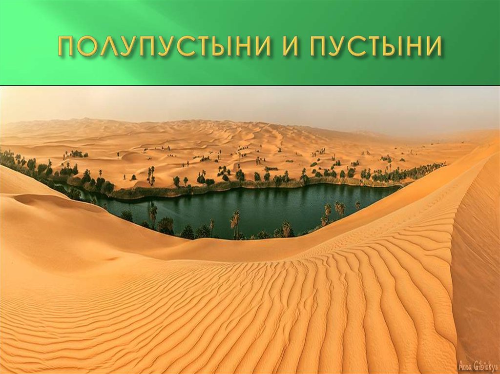 Природная зона пустыня расположение