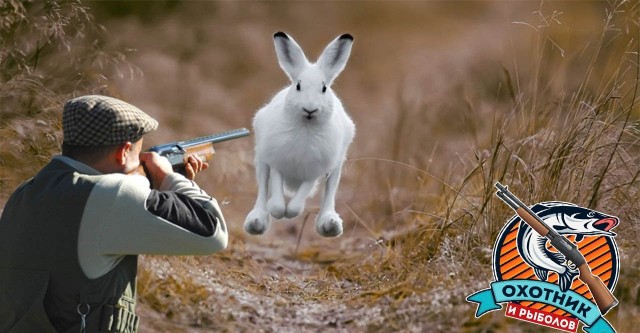 Секреты и способы охоты на зайца русака и беляка