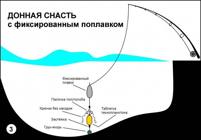 Технопланктон своими руками - рецепты смеси и приготовление