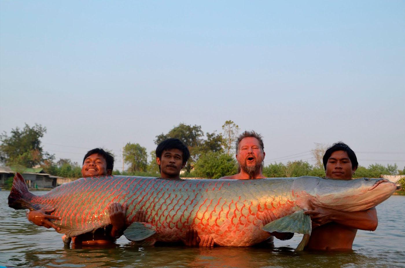 Топ-10 самых больших рыб на планете - удивительный мир животных