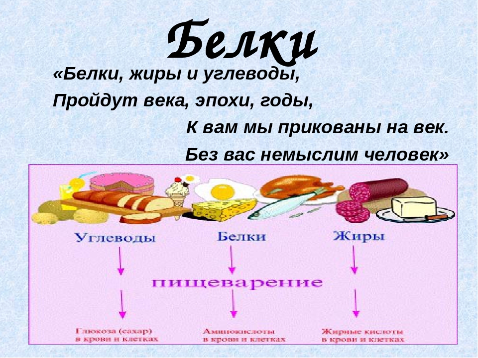 Жиры + продукты богатые жирами