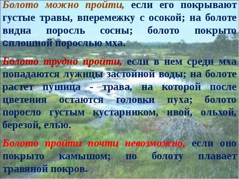 Почему болото засасывает: разъяснение специалистов