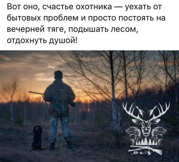 Лёгкая добыча. как устроена вольерная охота в россии — секрет фирмы