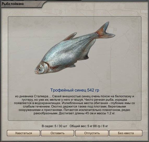 Рыба синец, обитание - блог рыбака