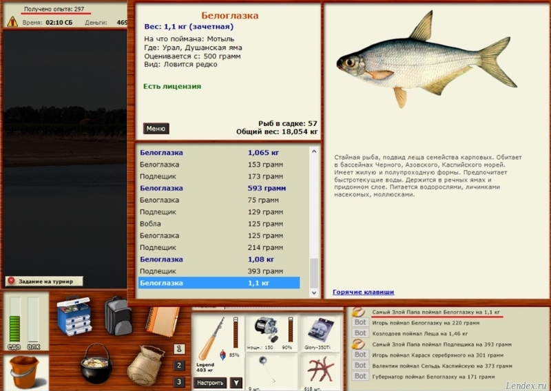 Рыба синец - внешний вид и описание, фото, места обитания, поведение, нерест и сезоны ловли синца