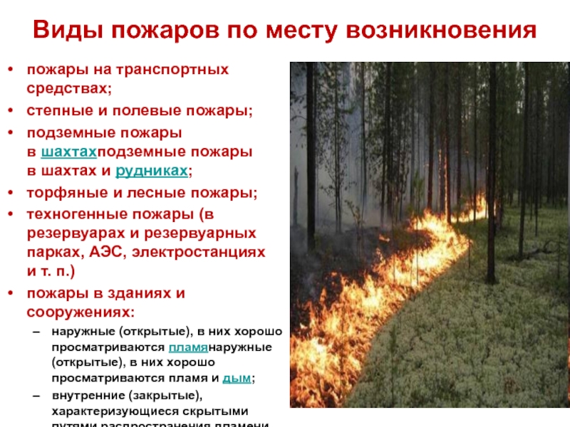 Характеристика лесных пожаров обж