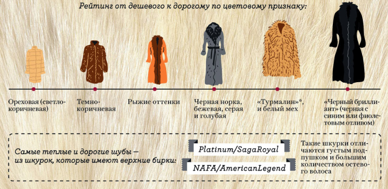 Бизнес на выделке шкур (январь 2023) — vipidei.com