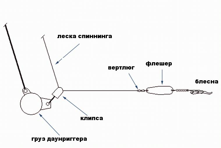 Троллинг с даунриггером: принцип работы устройства и техника ловли