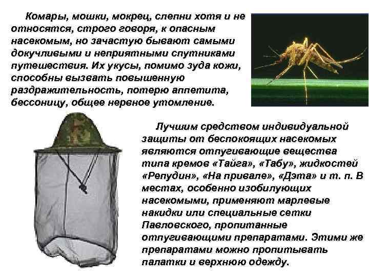 Защита от насекомых обж. Защита насекомых. Методы защиты от насекомых. Средства защиты от комаров мошек слепней сообщение. Гнус слепни комары мошки.