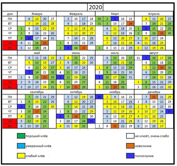 Календарь рыболова на 2023 год: по месяцам и дням, по регионам, клев рыбы по луне, подробная таблица