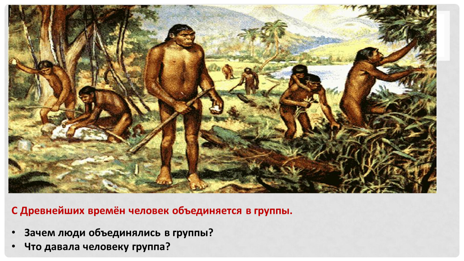 Что ел твой доисторический дед