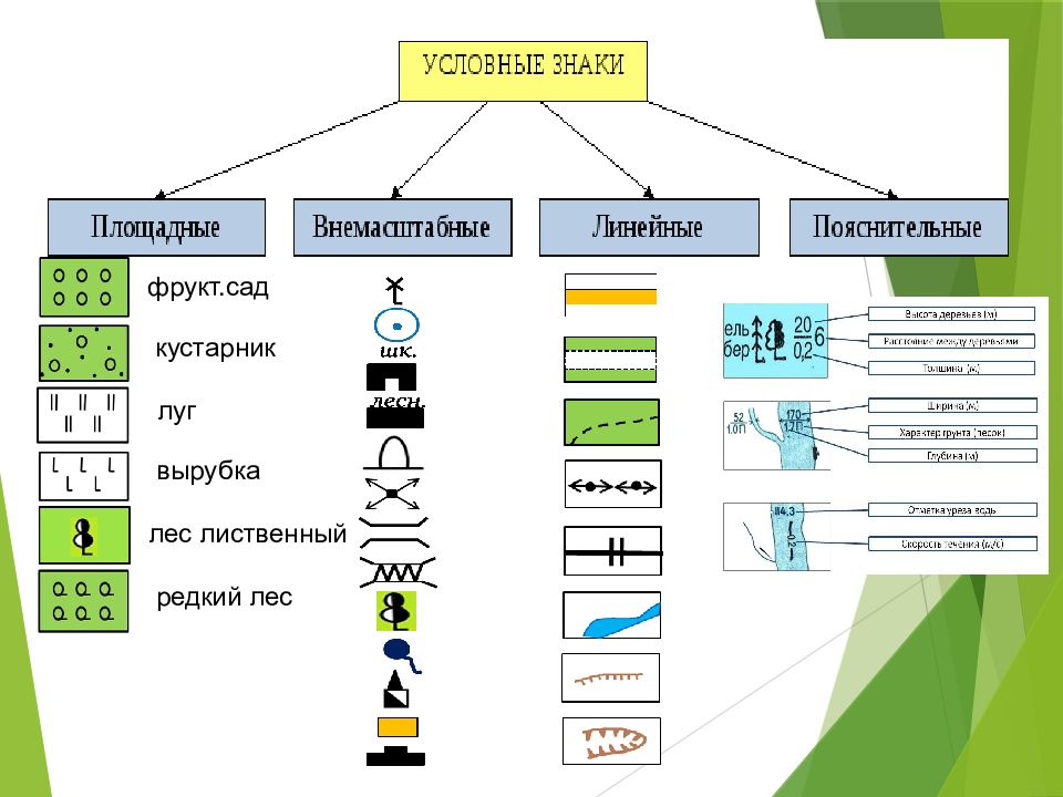 Топографические знаки презентация