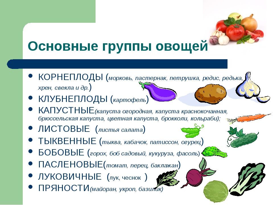 Определение доброкачественности овощей. Классификация корнеплодов. К группе корнеплодов овощей относятся. Овощи входящие в корнеплоды. Какие овощи относятся к корнеплодам.