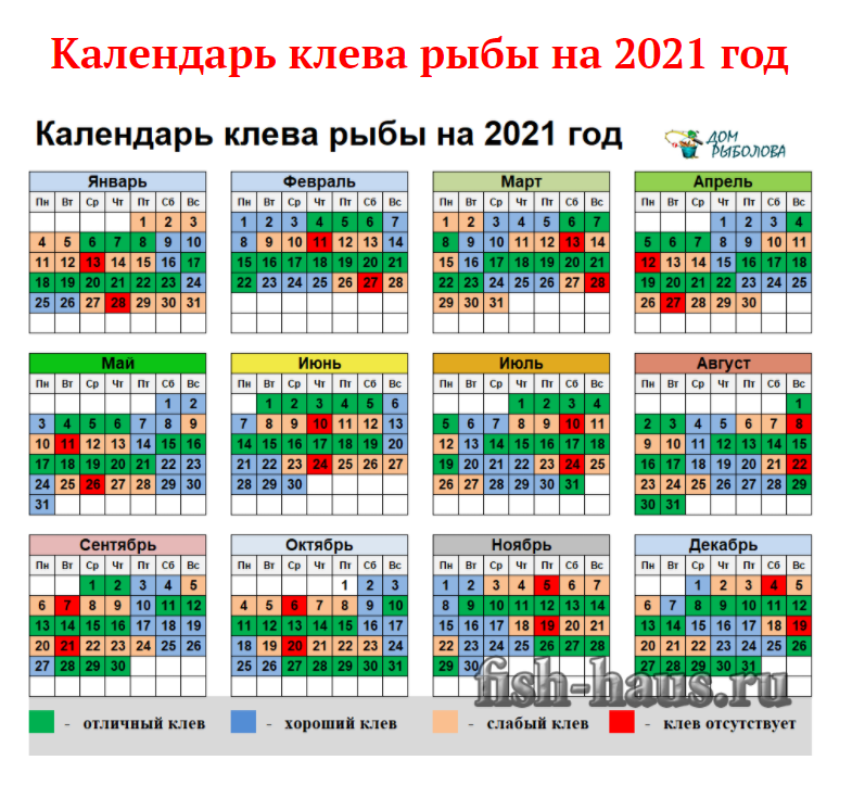 Календарь рыбака на 2023 год – онлайн таблица по месяцам с фазами луны