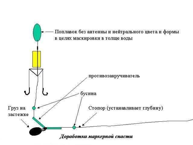 Изготовление технопланктона и ловля толстолобика своими руками