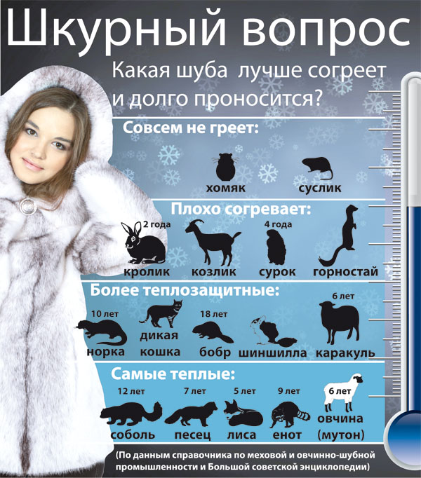 Технология работы с мехом | как шить и кроить шкурки натурального меха