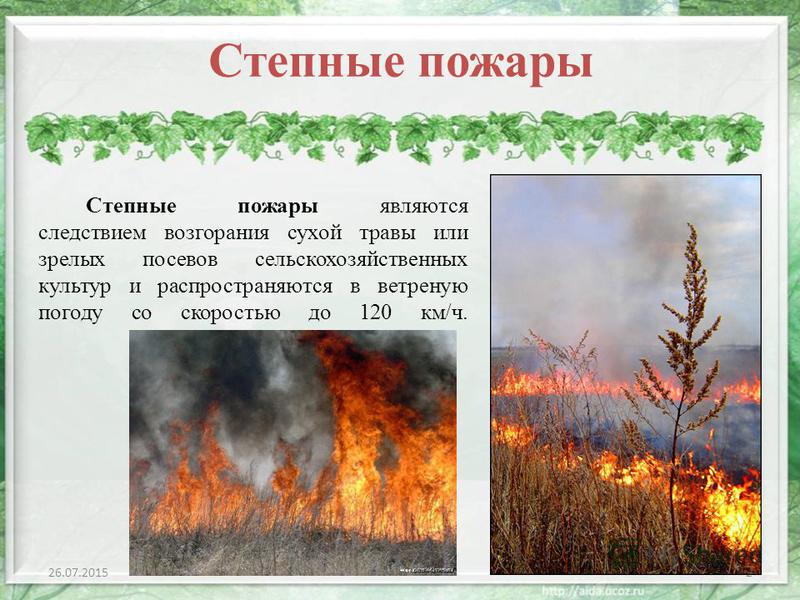 Природный пожар определение. Причины степных пожаров. Степной пожар характеристика. Степные пожары презентация. Лесные степные и торфяные пожары.