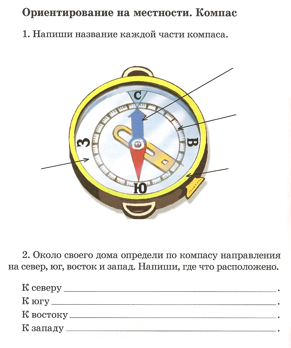 Как ориентироваться по компасу и азимуту, определение азимута